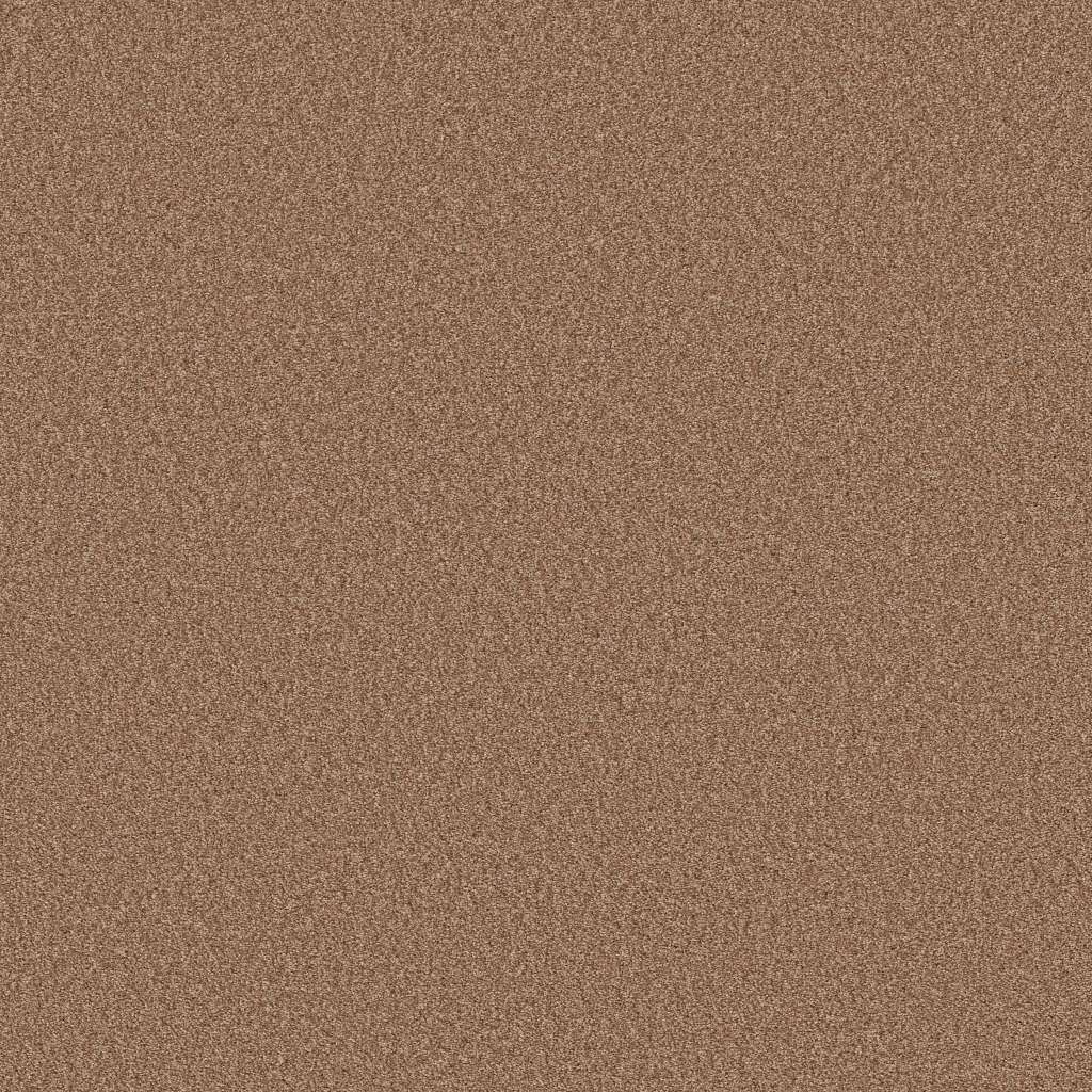 Colorwall - Tonal Comfort II - Carpet Shaw Floors