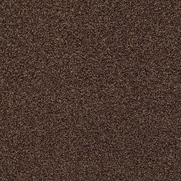 Colorwall - Find your comfort II - Tonal - Carpet Shaw Floors