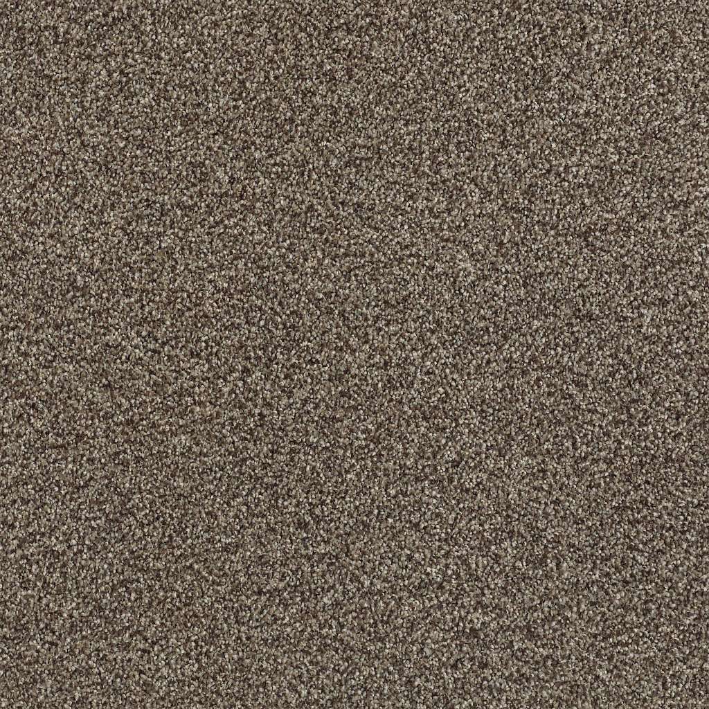 Colorwall - Tonal Comfort II - Carpet Shaw Floors