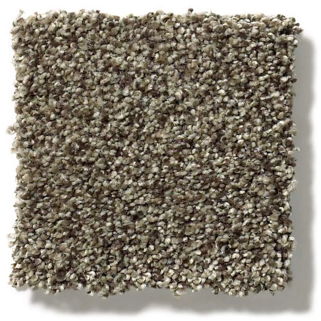 Colorwall - Tonal Comfort II - Carpet Shaw Floors