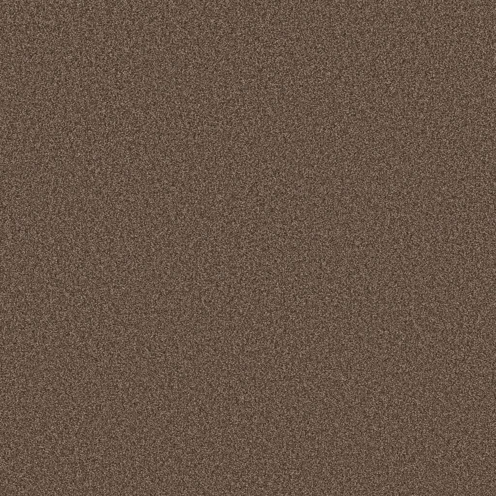 Colorwall - Tonal Comfort II - Carpet Shaw Floors