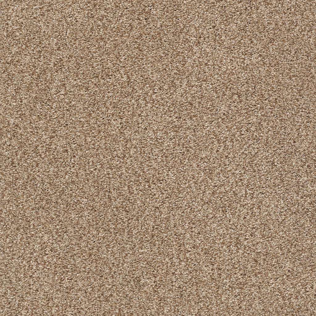 Colorwall - Tonal Comfort II - Carpet Shaw Floors