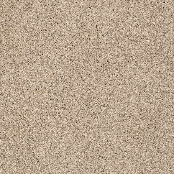 Colorwall - Tonal Comfort II - Carpet Shaw Floors