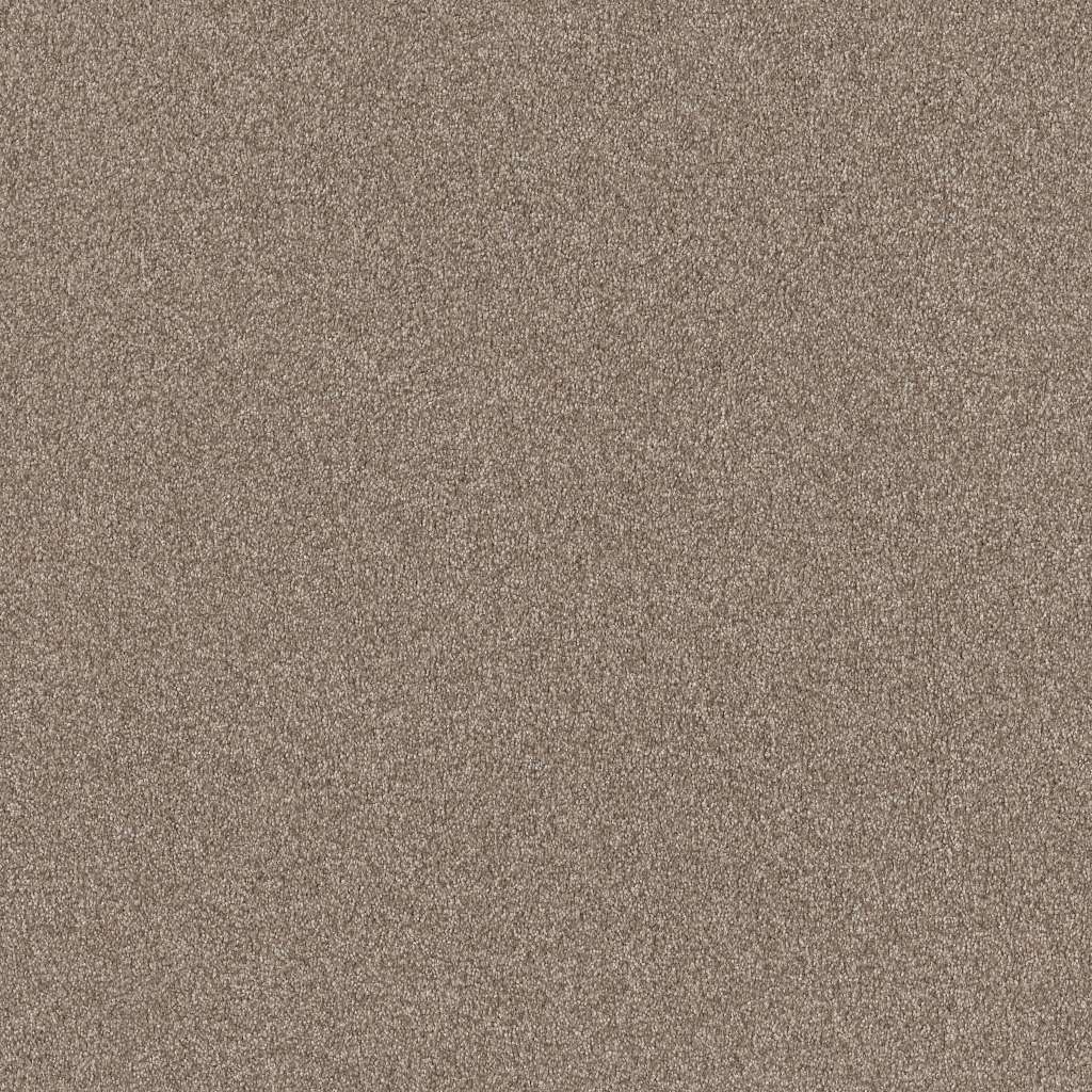 Colorwall - Tonal Comfort II - Carpet Shaw Floors