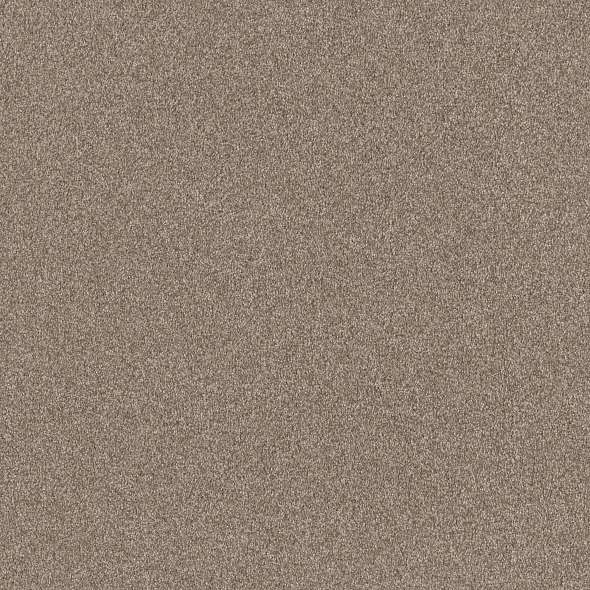 Colorwall - Find your comfort II - Tonal - Carpet Shaw Floors