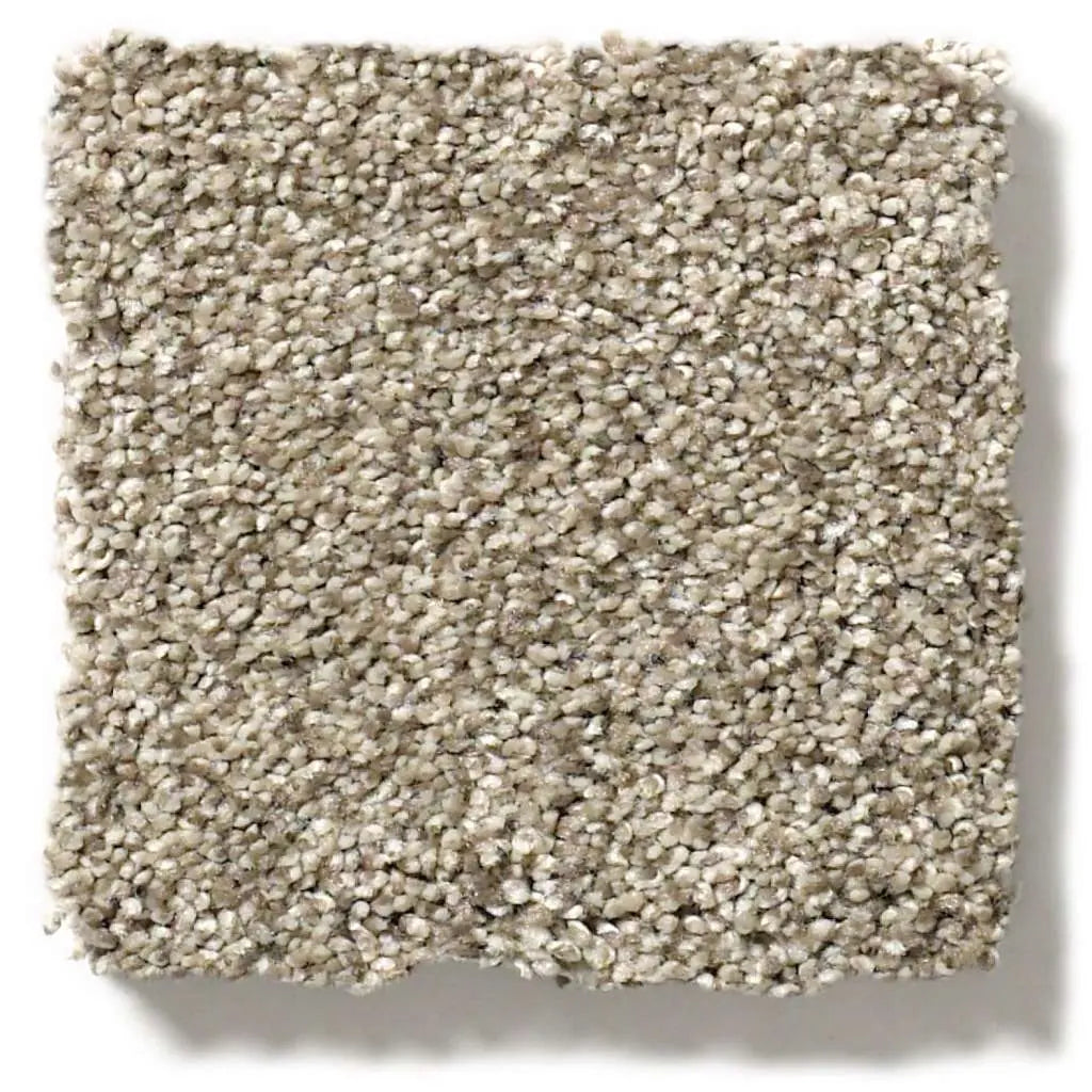 Colorwall - Tonal Comfort II - Carpet Shaw Floors