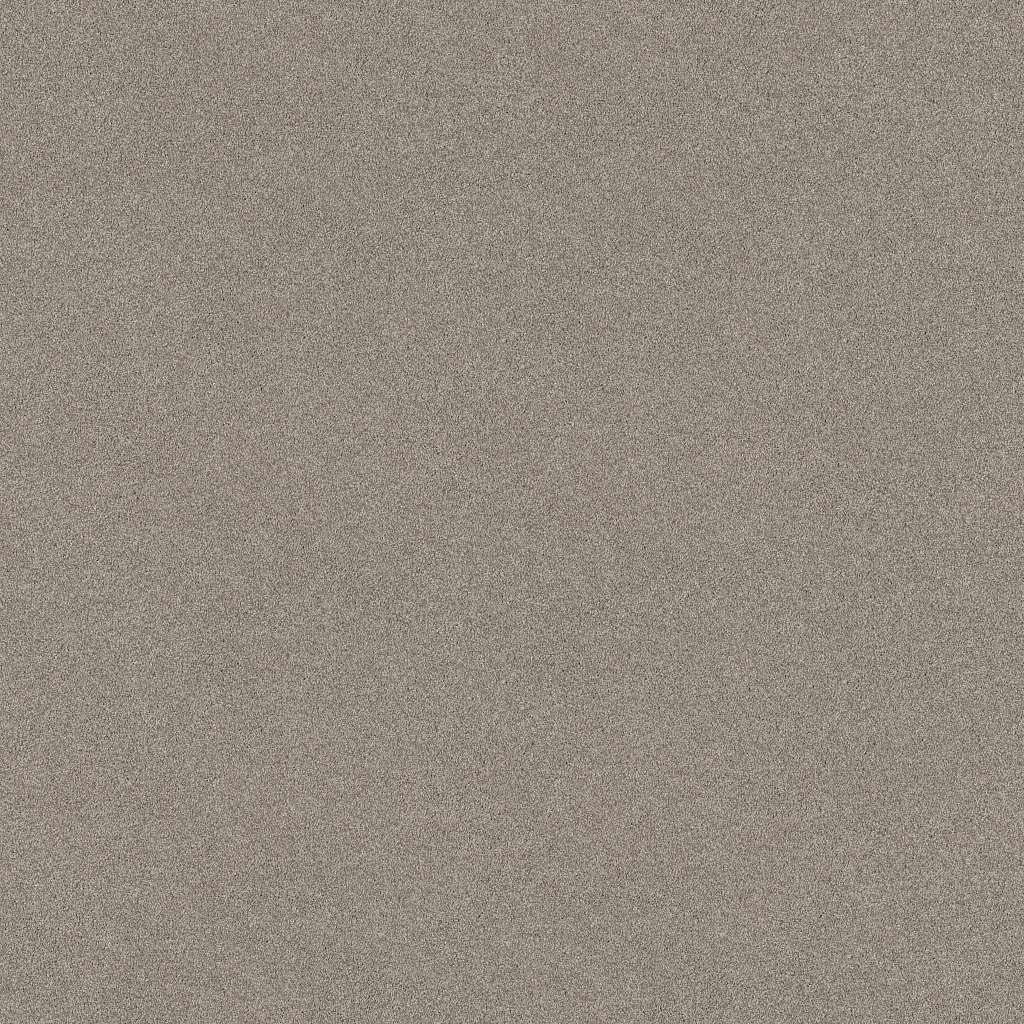 Colorwall - Tonal Comfort II - Carpet Shaw Floors