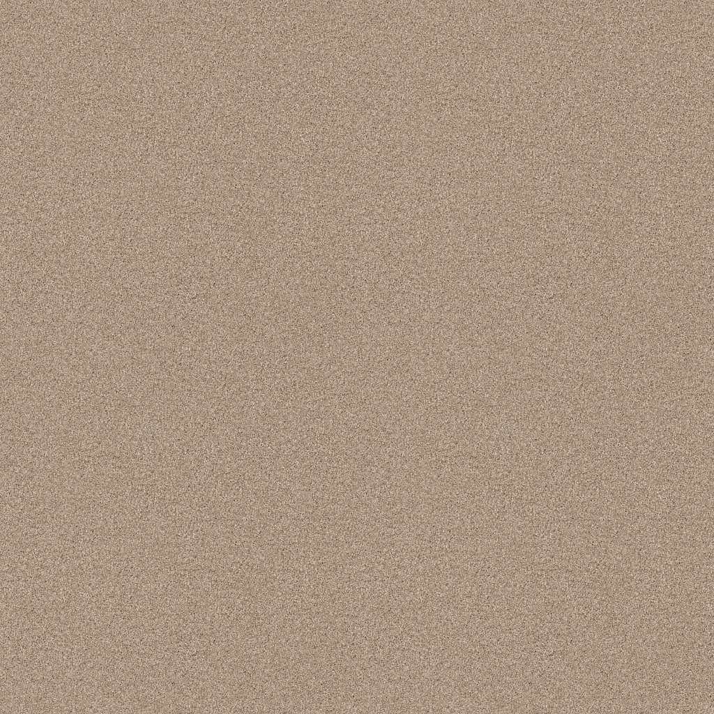 Colorwall - Tonal Comfort II - Carpet Shaw Floors