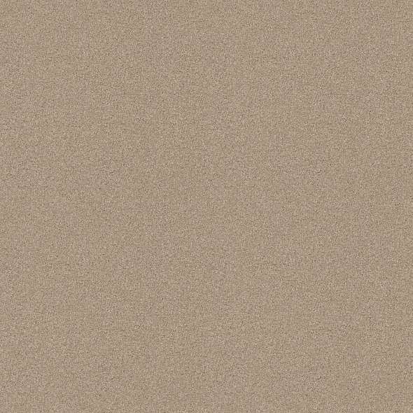 Colorwall - Find your comfort II - Tonal - Carpet Shaw Floors