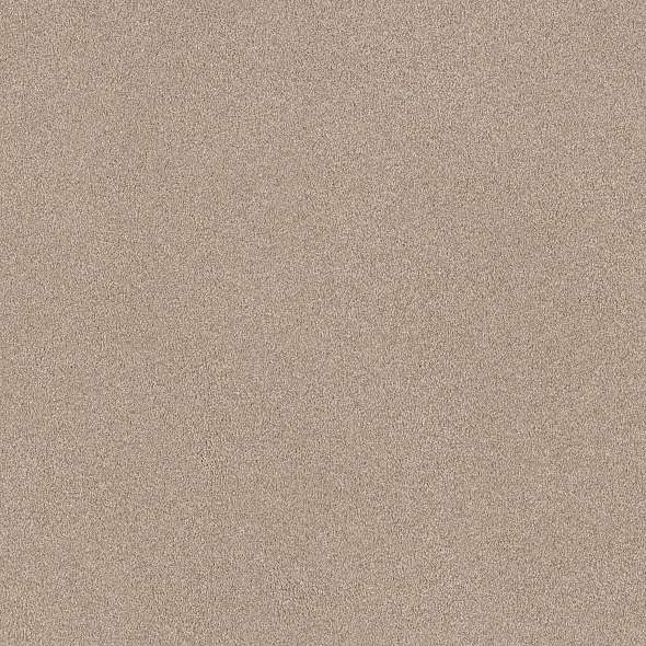 Colorwall - Find your comfort II - Tonal - Carpet Shaw Floors