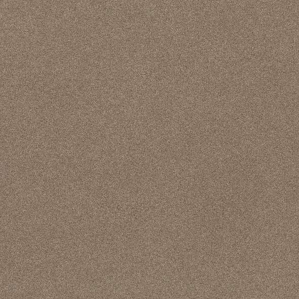 Colorwall - Find your comfort II - Tonal - Carpet Shaw Floors