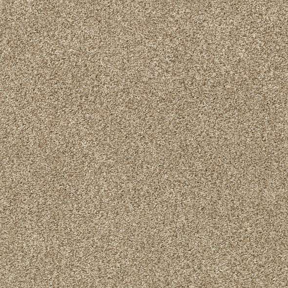 Colorwall - Tonal Comfort II - Carpet Shaw Floors