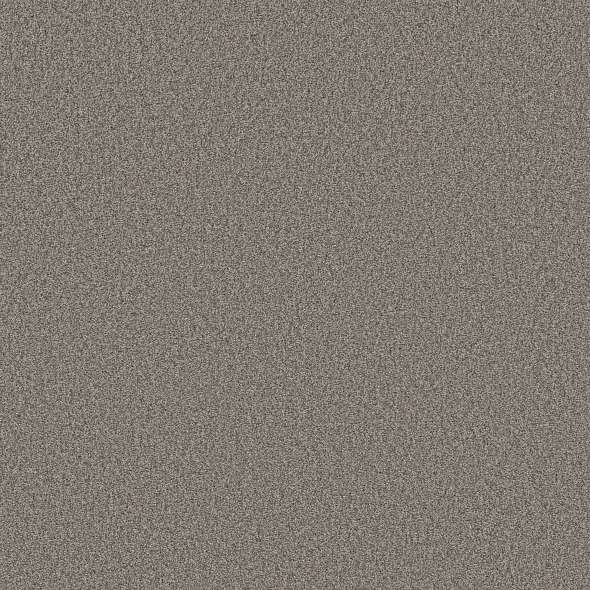 Colorwall - Tonal Comfort II - Carpet Shaw Floors