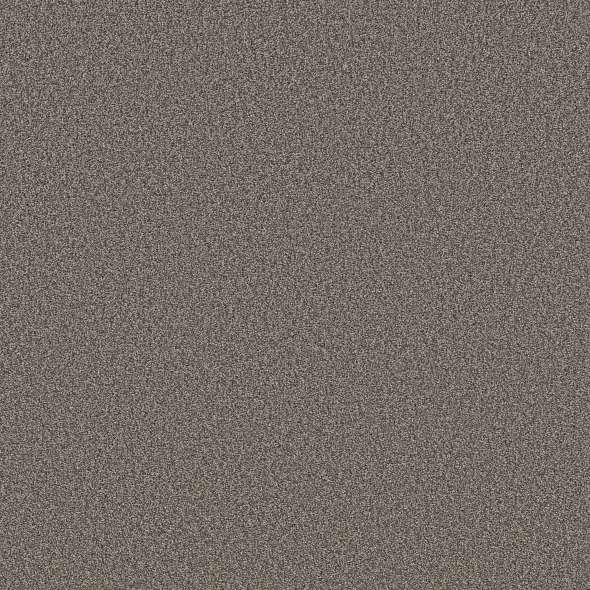 Colorwall - Tonal Comfort II - Carpet Shaw Floors