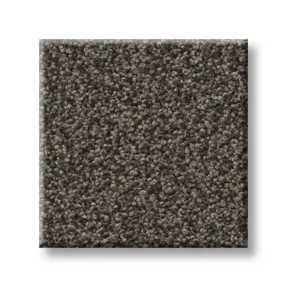 Colorwall - Tonal Comfort II - Carpet Shaw Floors