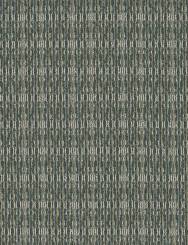 Broadloom - Be Real - Carpet Philadelphia Commercial