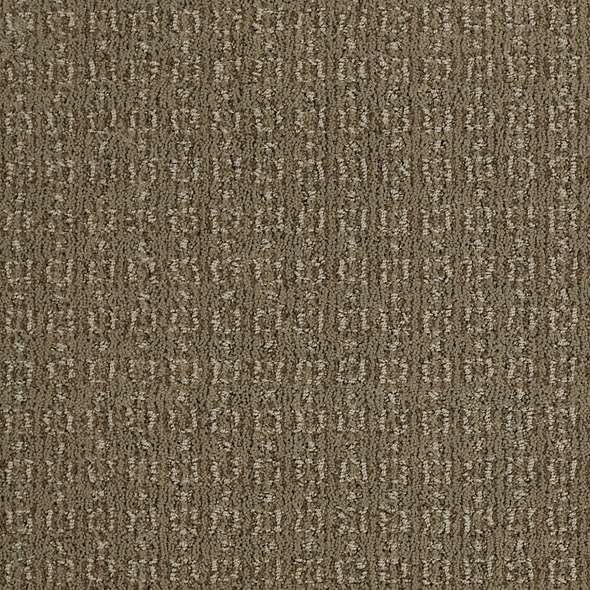 Caress - Luxe Classic - Carpet Shaw Floors
