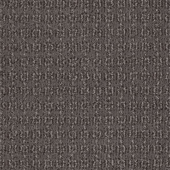 Caress - Luxe Classic - Carpet Shaw Floors