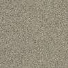Caress - Angora Classic I - Carpet Shaw Floors