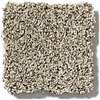 Caress - Angora Classic I - Carpet Shaw Floors