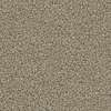 Caress - Angora Classic I - Carpet Shaw Floors