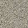 Caress - Angora Classic I - Carpet Shaw Floors