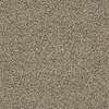 Caress - Angora Classic I - Carpet Shaw Floors