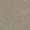 Caress - Angora Classic I - Carpet Shaw Floors