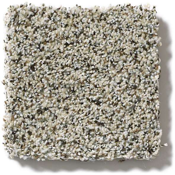 Caress - Angora Classic II - Carpet Shaw Floors