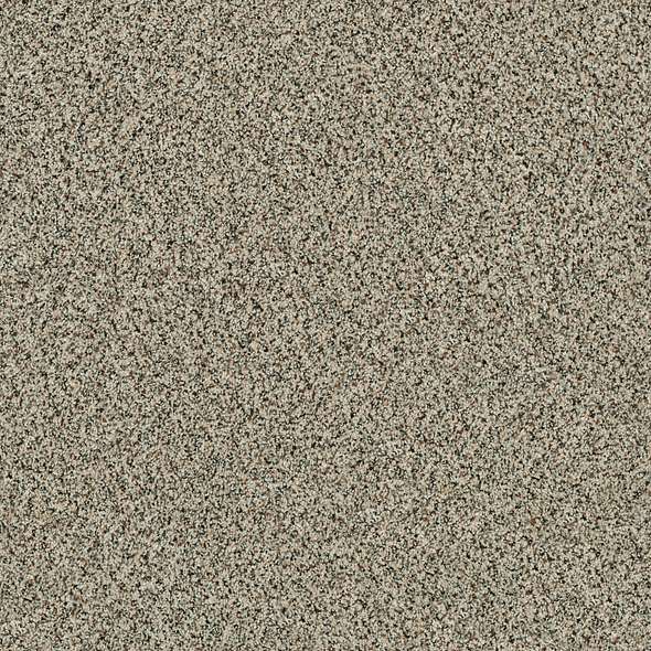 Caress - Angora Classic II - Carpet Shaw Floors