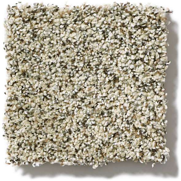 Caress - Angora Classic II - Carpet Shaw Floors