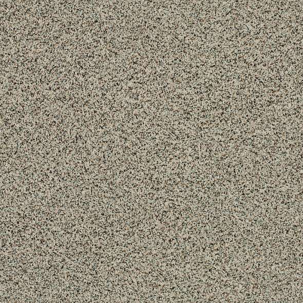Caress - Angora Classic II - Carpet Shaw Floors