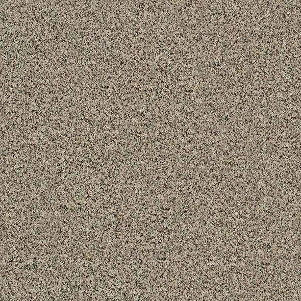 Caress - Angora Classic II - Carpet Shaw Floors