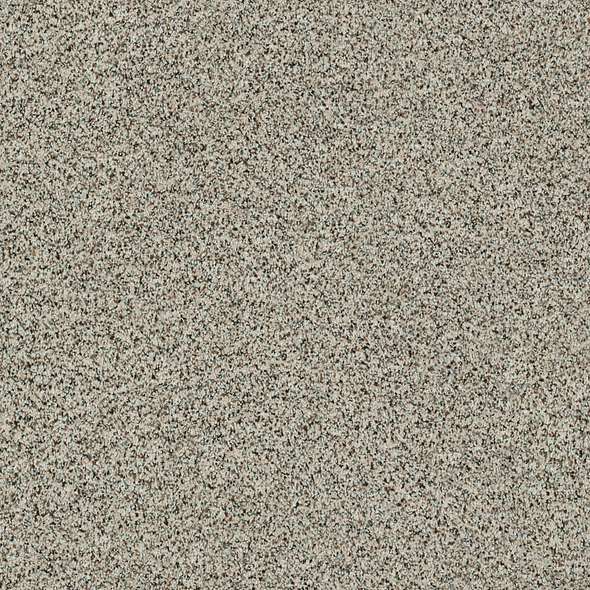 Caress - Angora Classic II - Carpet Shaw Floors