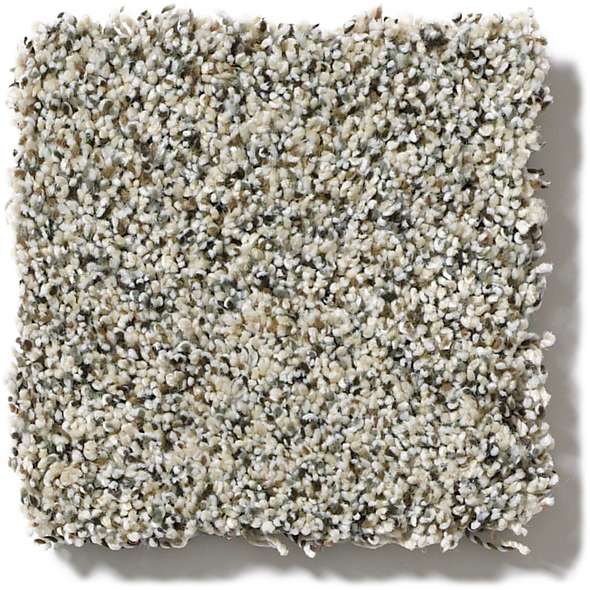 Caress - Angora Classic II - Carpet Shaw Floors