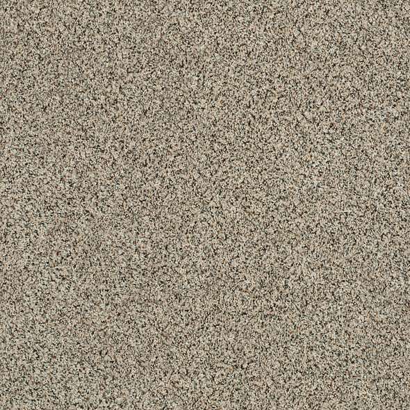 Caress - Angora Classic III - Carpet Shaw Floors