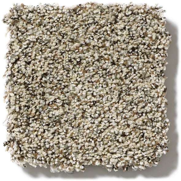 Caress - Angora Classic I - Carpet Shaw Floors