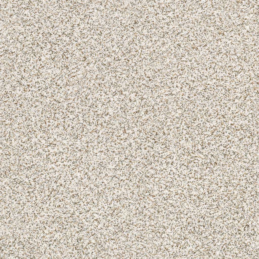 Caress - Devon Classic I - Carpet Shaw Floors