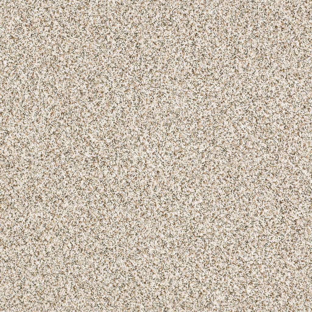 Caress - Devon Classic I - Carpet Shaw Floors