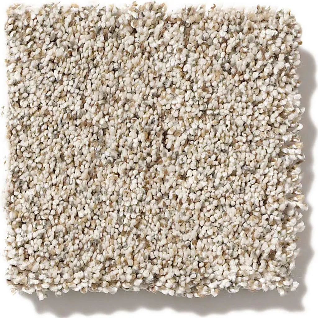 Caress - Devon Classic I - Carpet Shaw Floors