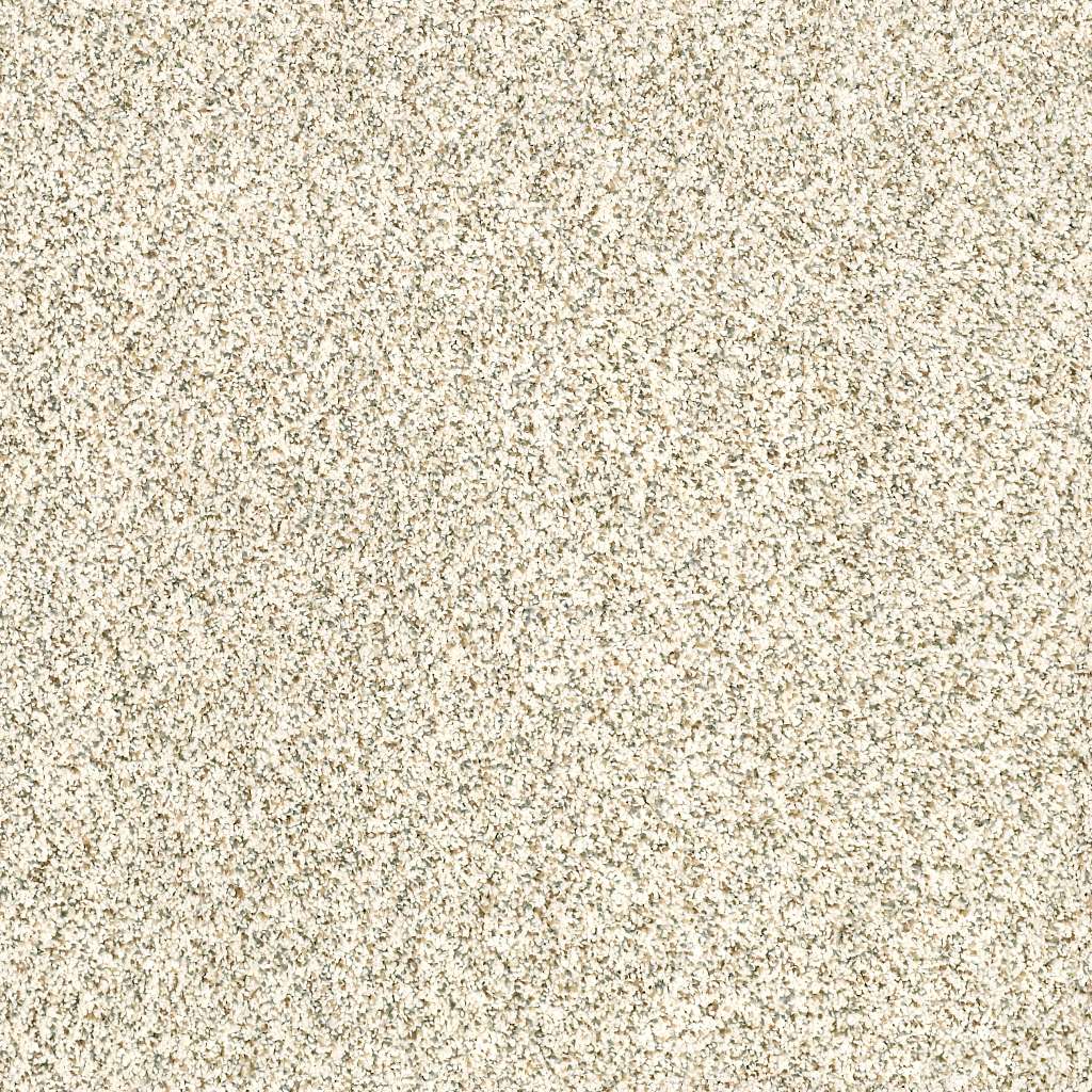 Caress - Devon Classic I - Carpet Shaw Floors