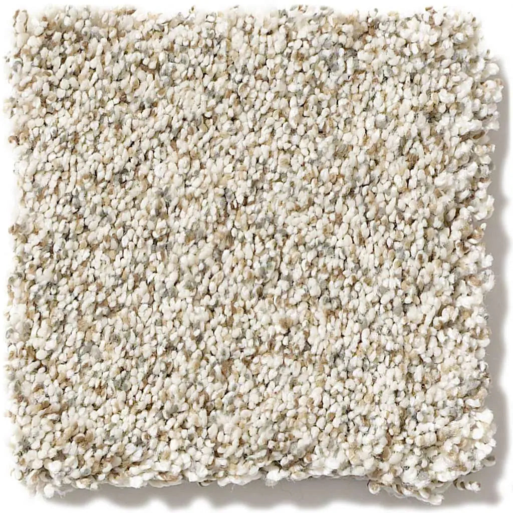 Caress - Devon Classic I - Carpet Shaw Floors