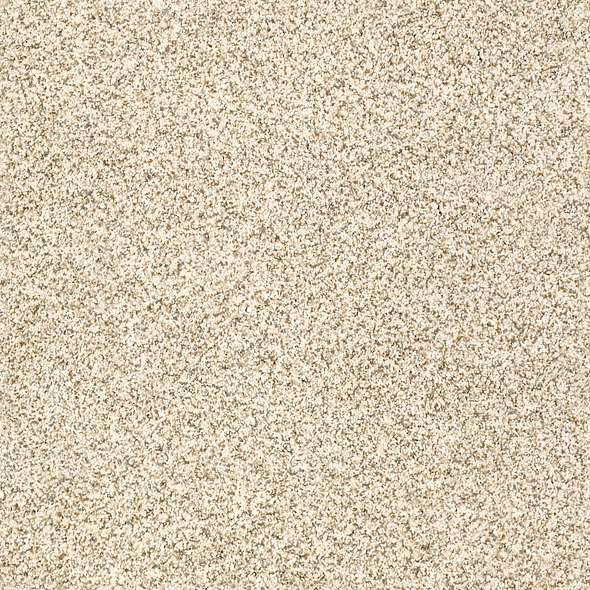 Caress - Devon Classic I - Carpet Shaw Floors