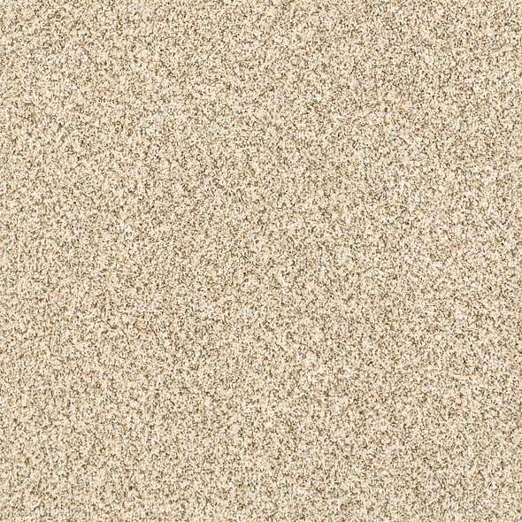 Caress - Devon Classic I - Carpet Shaw Floors