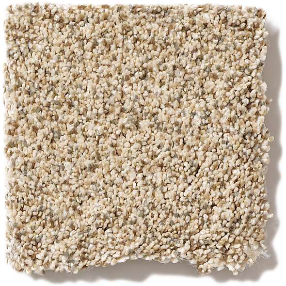 Caress - Devon Classic I - Carpet Shaw Floors