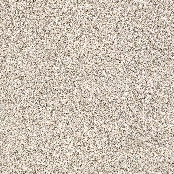 Caress - Devon Classic I - Carpet Shaw Floors