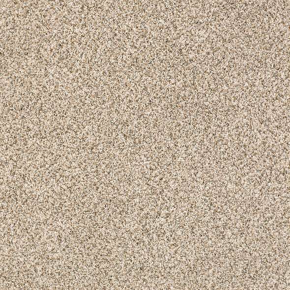 Caress - Devon Classic I - Carpet Shaw Floors
