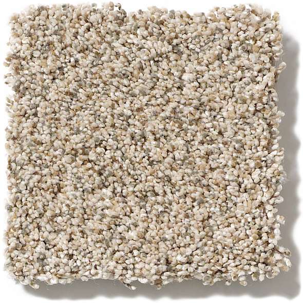 Caress - Devon Classic I - Carpet Shaw Floors