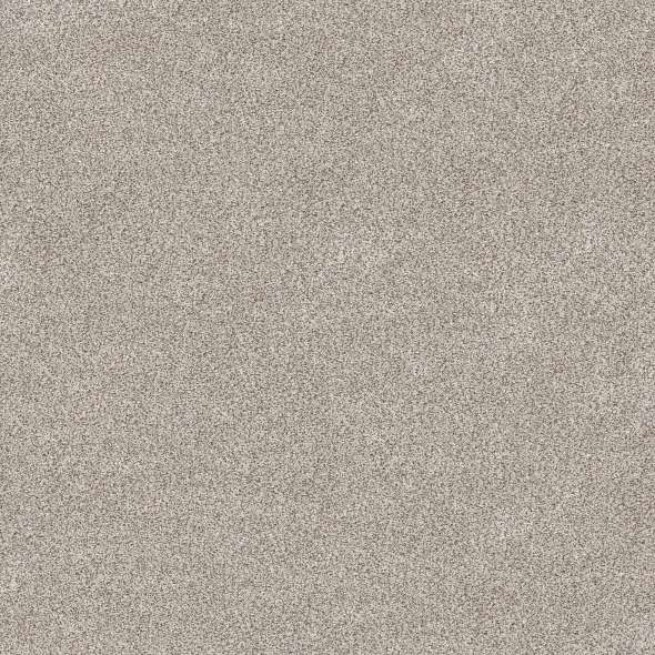 Caress - Devon Classic III - Carpet Shaw Floors