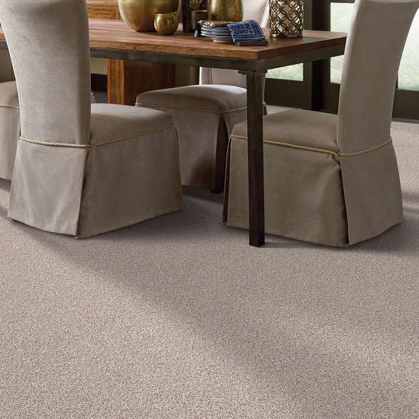 Caress - Devon Classic III - Carpet Shaw Floors